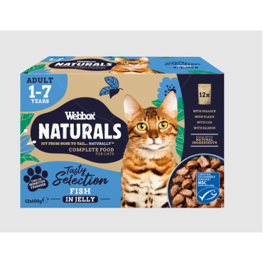 Webbox Natural Gato Seleção Peixe em Geleia 12x100g