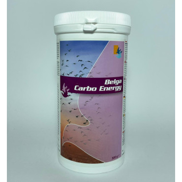 Bélgica De Weerd Carbo Energie 300g