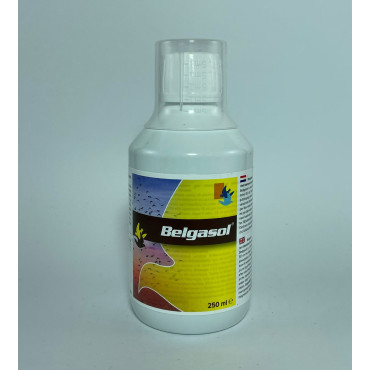 Belgica de Weerd Belgasol (Diferentes Tamanhos)