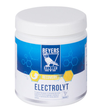 Beyers Eletrolyt Plus 500g