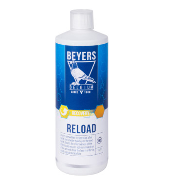 Beyers Reload 1 Litro (Aminoácidos essenciais)
