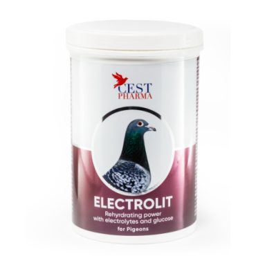 Cest-Pharma ELECTROLIT 600g (Rápida Recupereção após o exercicio)