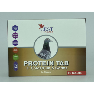 Cest-Pharma Protein Tab 90 Tabs