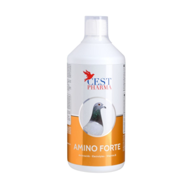 Cest-Pharma AMINO FORTE 1000ml