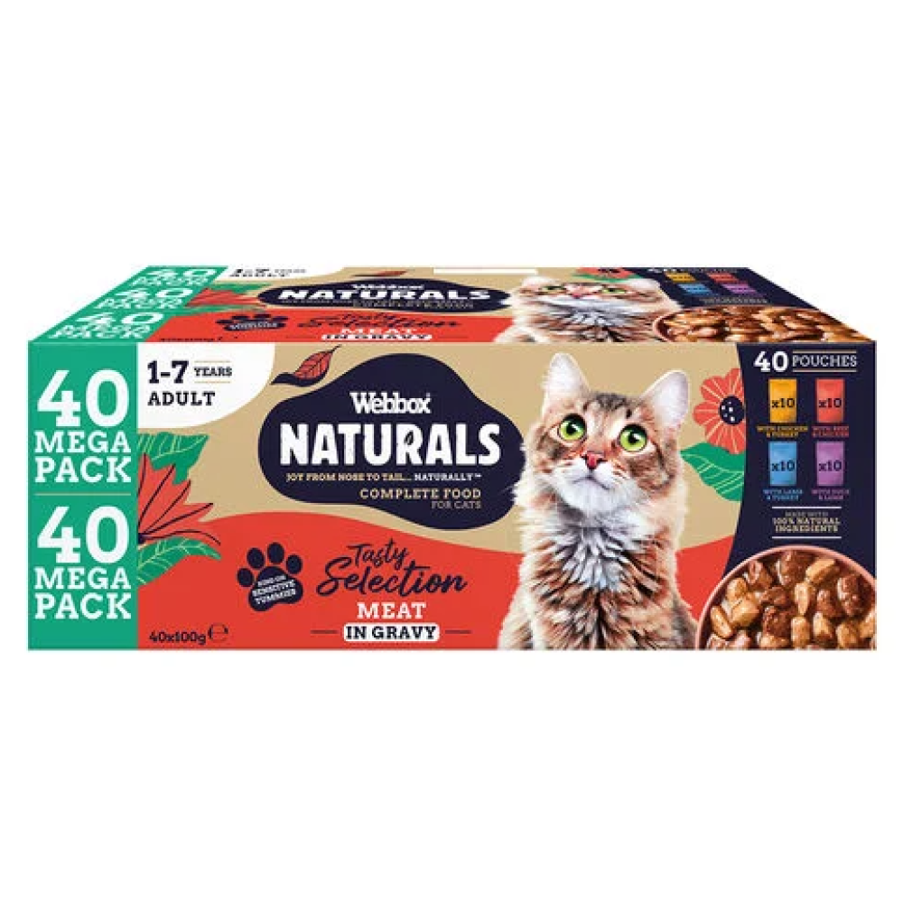 Webbox Natural Gato megapack mix 40 unidades em molho