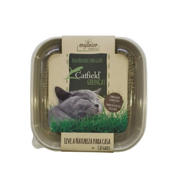 CatField Green Cat 80g (Erva Gateira)