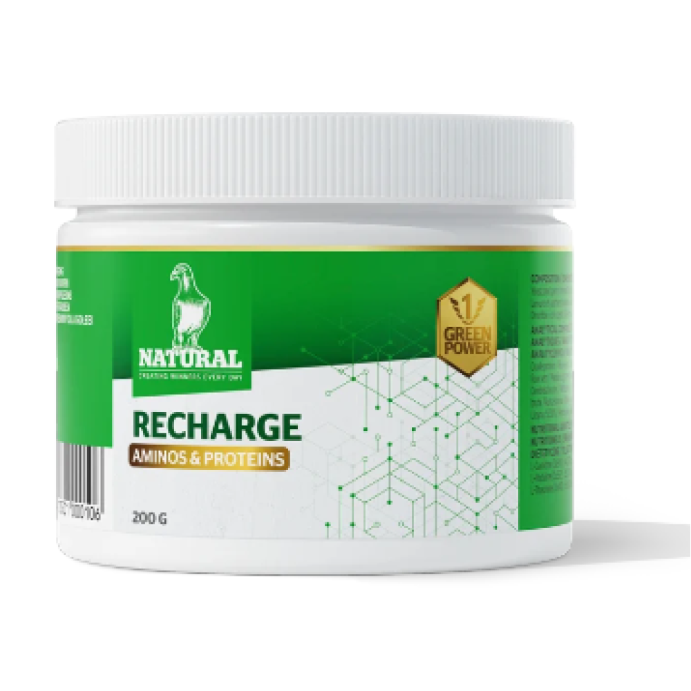 Natural  Recharge 200g (Recuperador e Desenvolvimento Muscular)