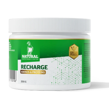 Natural  Recharge 200g (Recuperador e Desenvolvimento Muscular)