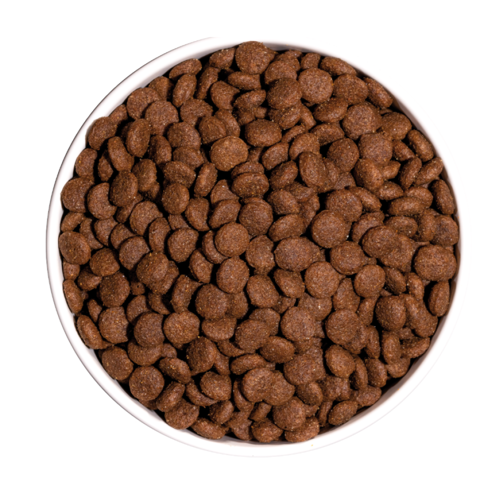 Ownat Classic Cao Junior (Diferentes Tamanhos)