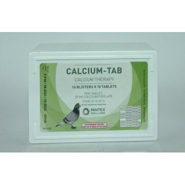 Pantex Calcium 100 Comprimidos