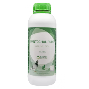 Pantex Pantochol Pure 1000 ml