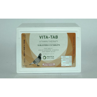 Pantex Vita-Tab 100 comprimidos