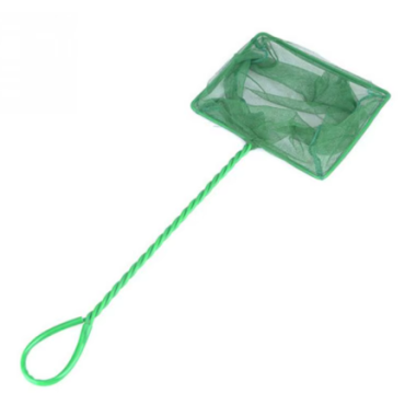 Camaroeiro verde (Diferentes Tamanhos)