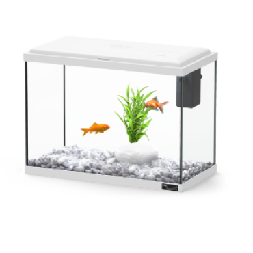 Aquario Explorer Lisbon 35x18x26.5cm 22 Litros (Diferentes Cores)