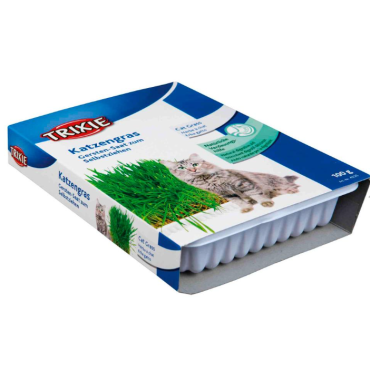 Erva Gateira Tenra C/Tabuleiro Adultos 100g