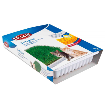 Erva Gateira Tenra C/Tabuleiro 100g