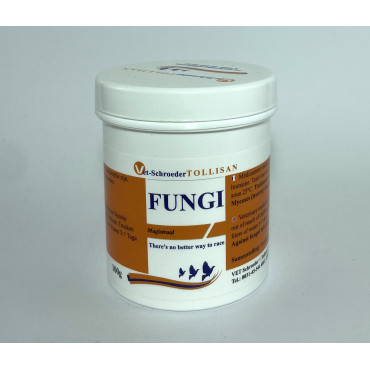 Tollisan Fungi Po 100gr, (tratamento antifúngico)