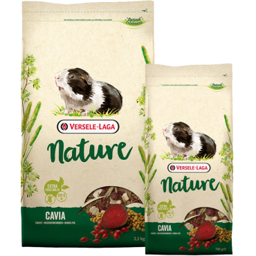Nature Cavia (Diferentes Tamanhos)
